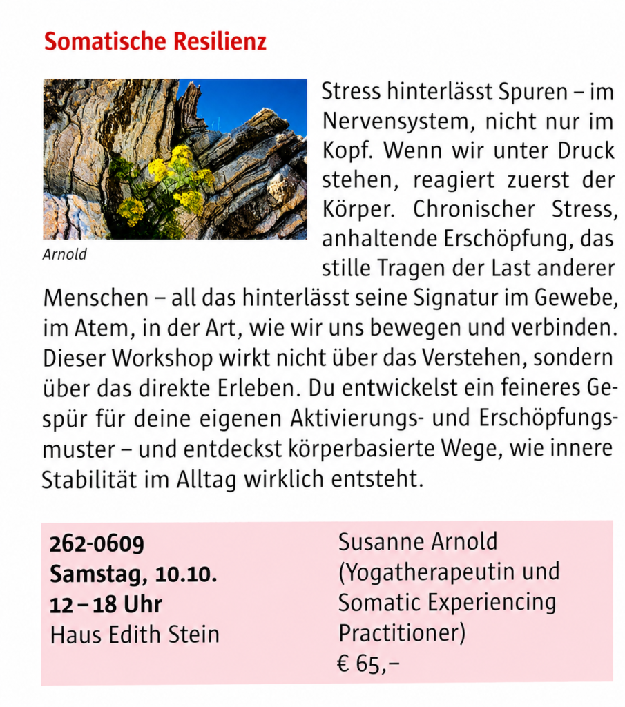 2026 08 03 workshop ersatz